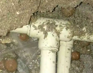 龙沙测漏水多少钱