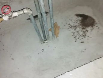 龙沙卫生间测漏水价格明细